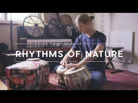 Rhythms of Nature: Find Your Flow in Life's Cycles