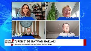 Türkiye" de Hayvan Hakları | Yol TV | Yolun Gündemi | 14.10.2026 Yol TV | Yolun 