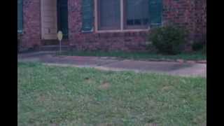 preview picture of video 'T-LOWW IN COLUMBUS, GA IN BUNKERHILL  SOUTHSIDE  AND MY HOUSE'