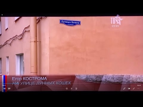 На улице Лунных Кошек (Шансон ТВ)
