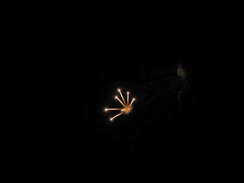 Lidu 6" new color 1000 chrys w/ coco pistil