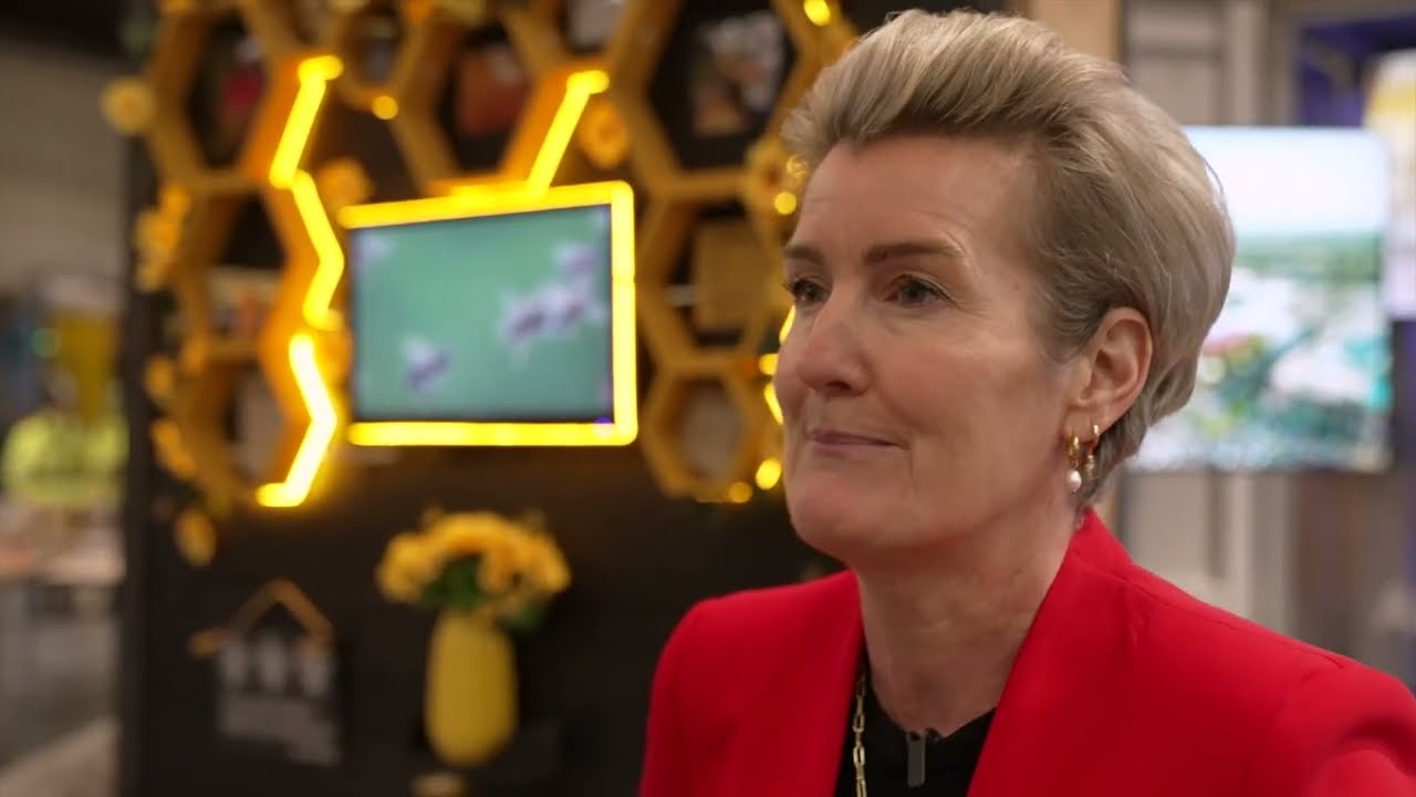 Circularity In Practice