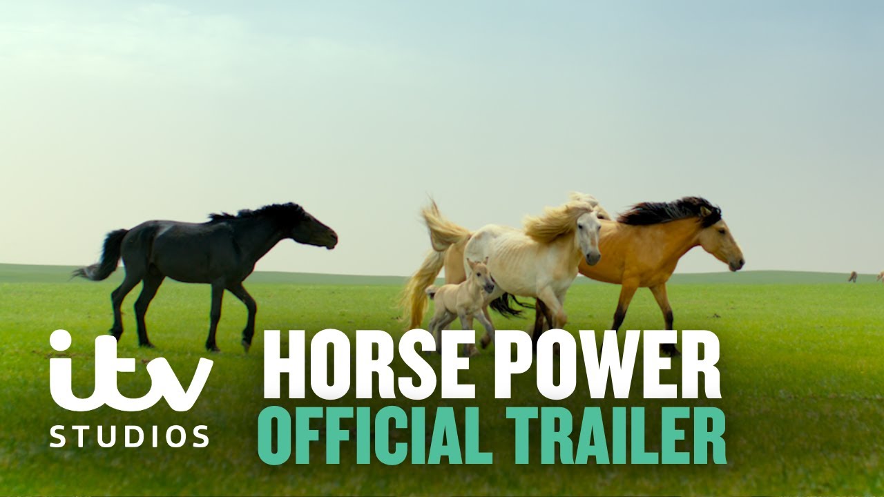 Horse Power | Official Trailer