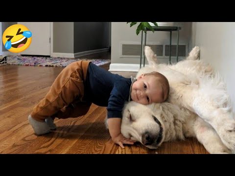 Funny animals videos of Cats🐈 and Dogs🐕2025. Try Not To Laugh 😂