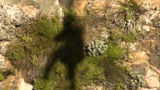 Download lagu Secerah Pewarna by die mp3