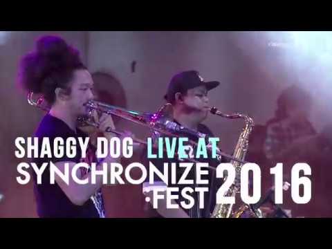 [Teaser] Shaggydog live at SynchronizeFest - 30 Oktober 2016
