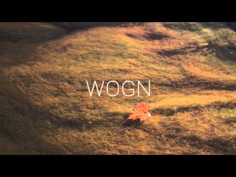 The Gardener & The Tree - Mama's Guitar