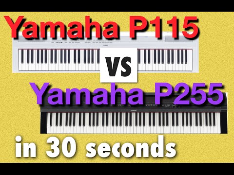 30 second comparison - Yamaha P115 vs P255 digital keyboards