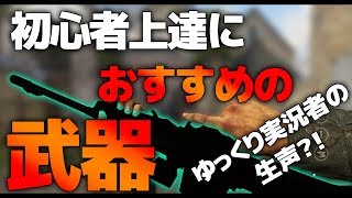 【CoD:WW2:講座:生声ver】初心者はこの武器で練習すると上達する?!　論理的に学ぶ、CoD:WW2上達講座【実況】