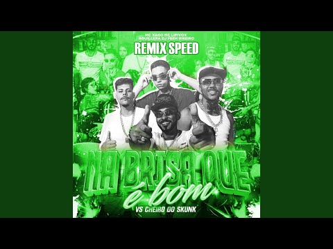 Na Brisa Que é Bom VS Cheiro do Skunk (Speed)