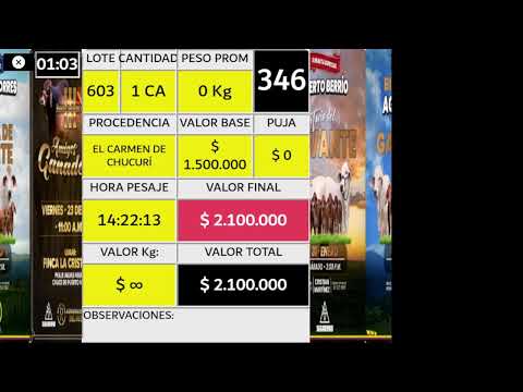 SUBASTA COMERCIAL SABANA DE TORRES #440