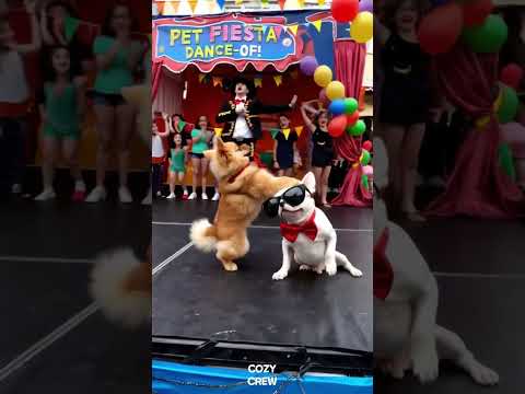 ¡Perritos bailando El Sonidito! 🐾🔥Dancing Puppies to El Sonidito!