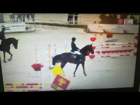 Finał PLJ Olsza 125 cm