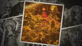 1 Call The Mad Professor At We R Good To Grow