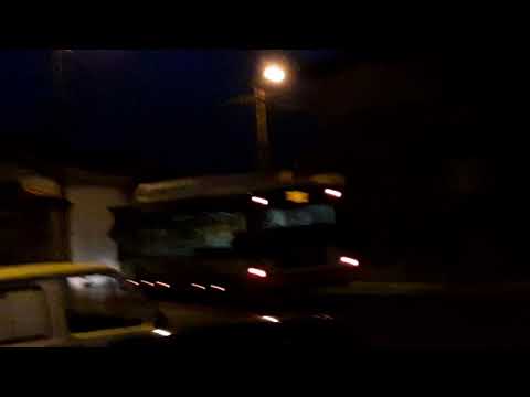 STCP linha 805 veiculos 3129 e 3113