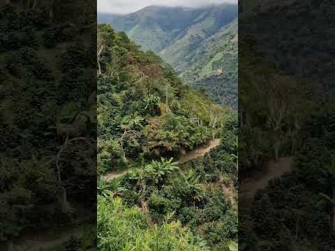 San andres de cuerquia antioquia..