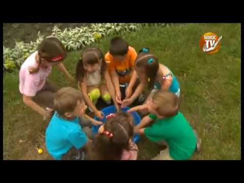 Lollipops - Buna dimineata