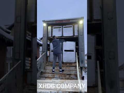 Man Tga Tgx Mercedes Benz Livestock Express Loading Unloading Bulls Cow Heifers Sheep Driving Truck