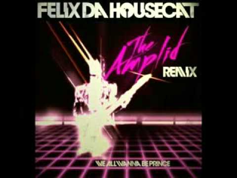 Felix da Housecat - We all wanna be Prince (theAmplid remix)