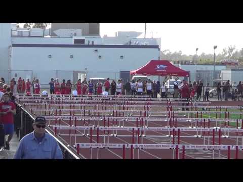 FSB 110mHH vs Servite 3-6-14 - Los Alamitos Boys