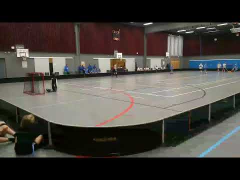 SBS Masku valkoinen - Karhut 0809 Blue