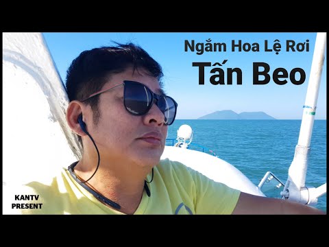 Ngắm Hoa Lệ Rơi - Tấn Beo "Phiên Bản Đời Thường" | Tấn Beo Funny