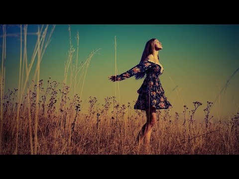 Ayzik Lil Jovid  ( Балаболи т )