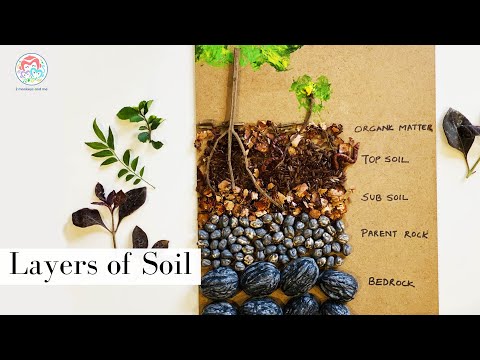 What is Soil Layer Made Of? Soil Formation by 2monkeysandme | Video For Kids