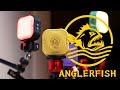 iFootage - Introducing Anglerfish HL1 C4 Handy Light Series