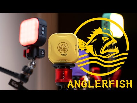 iFootage - Introducing Anglerfish HL1 C4 Handy Light Series