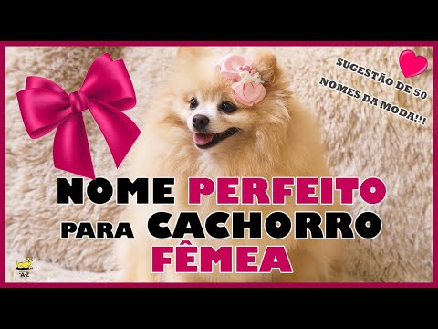 💖Escolha o NOME PERFEITO para seu CACHORRO FÊMEA 🐾