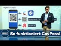 View 21 Covpass App Deutschland Rki