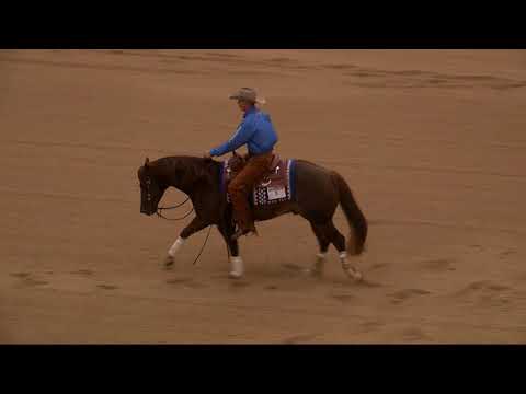 2022 The Run For A Million Champions Nathan Piper & Patriot