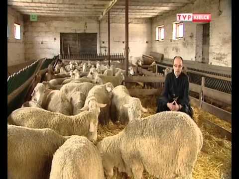 Komentarz na niedzielę Dobrego Pasterza