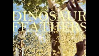 No Man&#39;s Gospel - Dinosaur Feathers - Whistle Tips - 2012