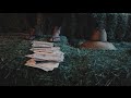 Little Wings - Where (Official Music Video)