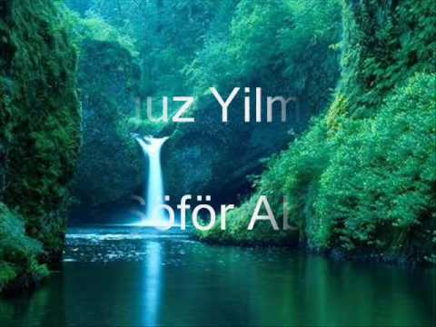 Oguz Yilmaz Şöför Abi