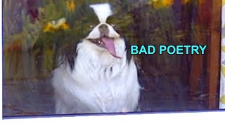 Lyna Galliara - Bad Poetry