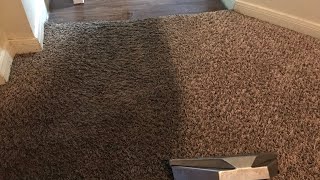 Floor Porn - Nasty Carpet Cleaning