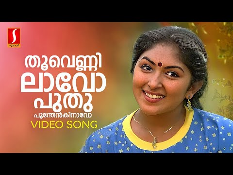 Thoo Vennilavo Video Song | Johnson | Sujatha Mohan | G Venugopal | Kaithapram | Sreeja | Mukesh