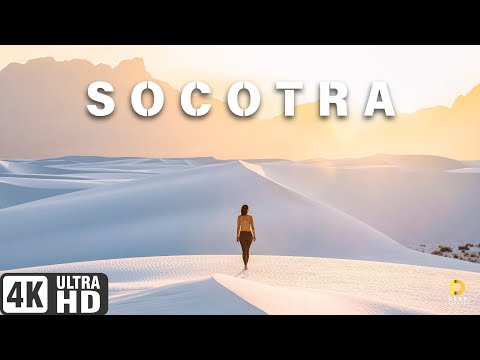 Socotra Island, Yemen - Step Into Another World | 4K Cinematic