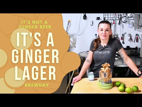 Ginger Lagers: A Beer that tastes like Ginger Beer Brewday