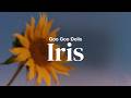 Goo Goo Dolls - Iris | Lyrics