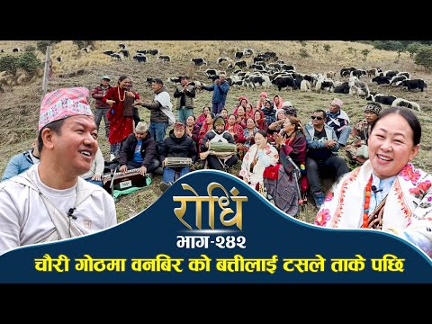 Rodhi EP 242 | Lekali Mayako chino  चौरी गोठमा वनबिर को बत्तीलाई टसले ताके पछि