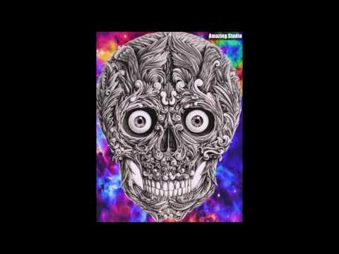 Die Schmetterlinge Die goldene Acht