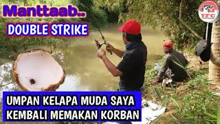 preview picture of video 'HEBOH !!! DOUBLE STRIKE MANCING IKAN NILEM PAKE UMPAN KELAPA MUDA'