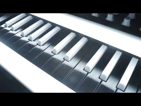 Sian - Cognitive Distortion - X