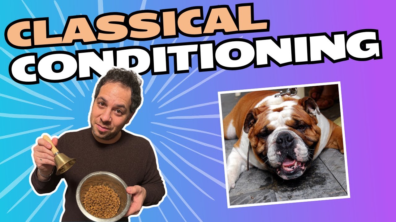 Classical (Pavlovian) Conditioning