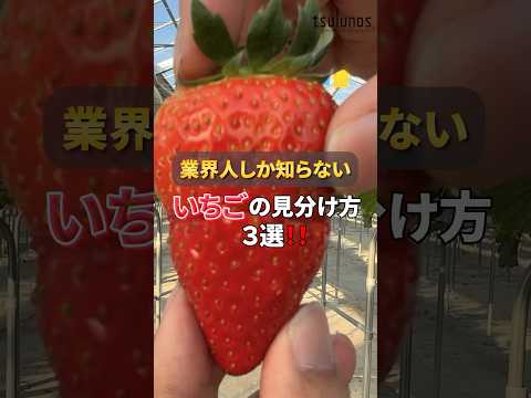 園芸 イチゴに関するよくある質問