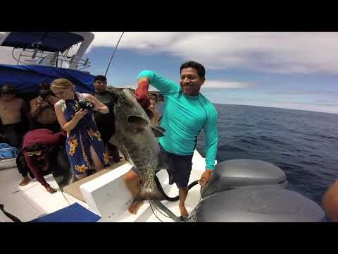 TOUR SANTA FE (Snorkeling) - Trailer